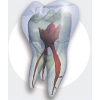 eHuman Digital Anatomy logo - Similar company to Intelesense Technologies