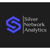 Silver Network Analytics logo - Similar company to Asiofinn Services