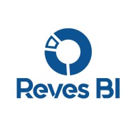 Reves BI logo - Similar company to Techinfobyte Solutions Pvt Ltd