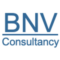 BNV Consultancy logo - Similar company to Mies Pr