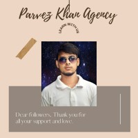 Parvez Khan Agency logo - Similar company to Marieli