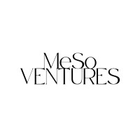 MeSo Ventures logo - Similar company to Theropay Inc