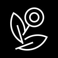 FANCIFY logo - Similar company to Smartefreight