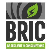 Bric logo - Similar company to 4Usolution
