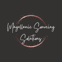 Magellanic Sourcing Solutions logo - Similar company to Dspace