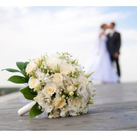 Aura Contarino Wedding Planner logo - Similar company to Olivia Wedding Planner