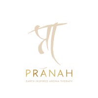 Pranah logo - Similar company to Plg Partners