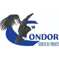 Lavadero industrial Condor logo - Similar company to Gestión Argentina