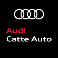 Catte Auto Audi