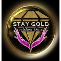 Stay Gold Crypto logo - Similar company to Gold Net Solution