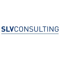 SLV Consulting S.r.l. logo - Similar company to Ivisionatici