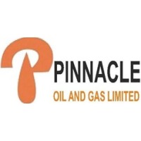Pinnacle Oil and Gas Limited logo - Similar company to Starbaj