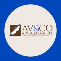 A. Vergara & Co. logo - Similar company to 360 Consulting Group