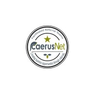 Caerusnet Connections logo - Similar company to Caerusnet