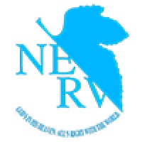 NERV logo - Similar company to S. H. A. D. O. Design Ltd