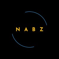 NABZ Services logo - Similar company to نبض