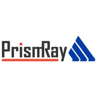 PrismRay Management Consulting Pvt Limited logo - Similar company to Scubes Management Consulting Llp
