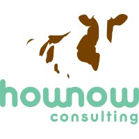 HowNow Consulting