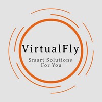 VirtualFly Monitoring logo - Similar company to Ibil Laser .Sl