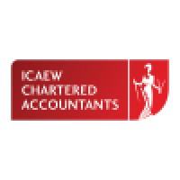 N. Constantinou & Co Audit Ltd logo - Similar company to Ie Argyropoulos Limited