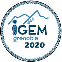 PyoBusters (iGEM Grenoble 2020) logo - Similar company to Igem Uga 2025