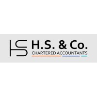 H.S. & Co. Chartered Accountants logo - Similar company to Ideageek (Pvt) Ltd