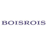 BOISROIS logo - Similar company to Leitz Tooling