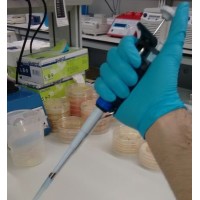 SoyBiotec logo - Similar company to Alcyon Bio Sl