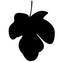 enmars logo - Similar company to River Collective