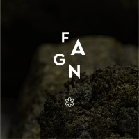 Fagn AS logo - Similar company to Einer