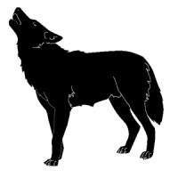 Thomas Wolf Services logo - Similar company to Opleiding.Nl Zakelijk