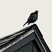Nightingale Architecture logo - Similar company to Wca Design Studio, Llc