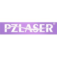 PZ Laser Slim Technology Co,.Ltd logo - Similar company to William-Pzlaser