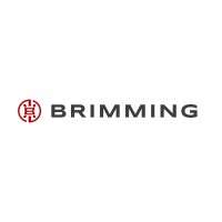 Brimming Development logo - Similar company to Dowill Holding