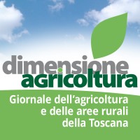 Dimensione Agricoltura logo - Similar company to Droinwork Servizi Drone | Ispezioni | Rilievi | Time Lapse | Agricoltura Di Precisione