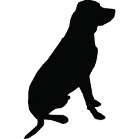 Black Dog Video logo - Similar company to Virtual Racing Lounge Gmbh