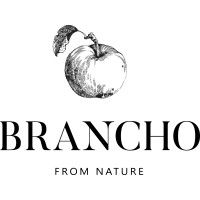 Brancho Ukraine logo - Similar company to Ukrwalnut Llc