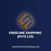 Freeline Shipping Pvt Ltd. logo - Similar company to Central Asia Freight Pvt Ltd.
