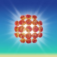 Sunburn Festival logo - Similar company to Sunburn Digital Marketing