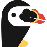 Puffin Tech logo - Similar company to Puffin Technology Ltd