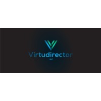 Virtudirector llc logo - Similar company to Nspc Brain And Spine Surgery