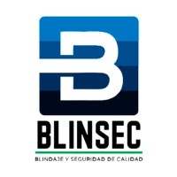Blinsec logo - Similar company to Liditek