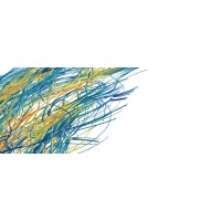 Heichen Limited logo - Similar company to Trinity Digital Technology Limited