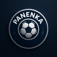 Panenka logo - Similar company to Vue Par2 Entreprise