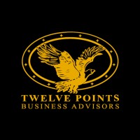 Twelve Points Business Advisors logo - Similar company to Bracken Engineering, Inc.