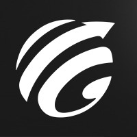 Papoo logo - Similar company to Intellivision Software