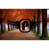 p-evo logo - Similar company to Dr. Button