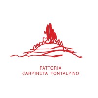Carpineta Fontalpino logo - Similar company to Shiftmaids