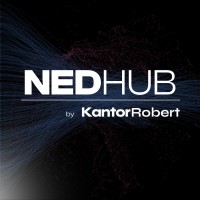 NEDHUB Academy logo - Similar company to Reverest Fund Management