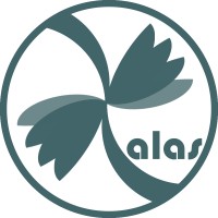 ALAS - Airspace Localization & Avoidance System logo - Similar company to Flying Bots Pte Ltd